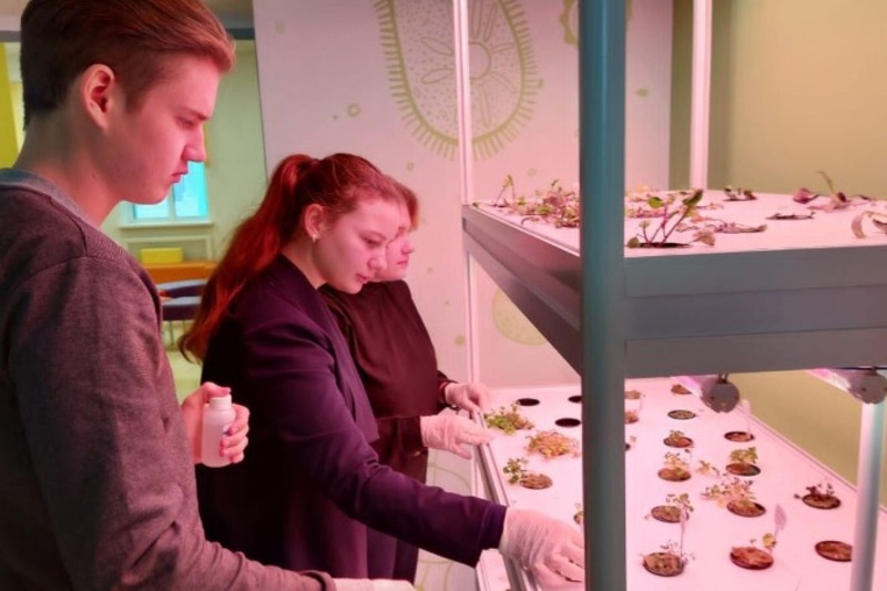 Сити-фермеры из Умета: школьники, используя аэро- и гидропонику, выращивают зелень, овощи и грибы