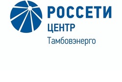 Специалисты «Тамбовэнерго» готовятся к работе в условиях непогоды