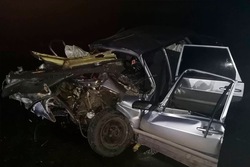 Четырёхмесячный ребёнок погиб в аварии в Мучкапском округе