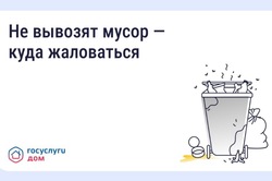 Тамбовчане могут сообщить о переполненных мусорных баках через приложение Госуслуги.Дом