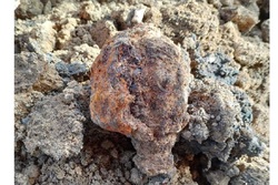 В Моршанском районе во время строительных работ нашли гранату