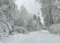 Специалисты «Тамбовэнерго» восстанавливают нарушенное непогодой электроснабжение небольшой части потребителей региона 