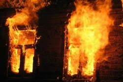 В Тамбовской области в огне погибли два человека