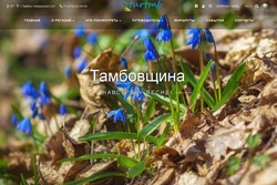 Тамбовский областной Информационно-туристический портал признан одним из лучших в России
