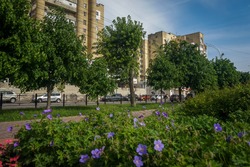Дожди и радуги в Тамбове