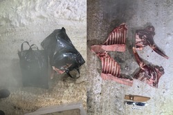 Прокуратура передала в суд дело о незаконной охоте на косуль в Первомайском МО