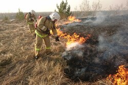 В Тамбовской области зафиксировано 178 случаев пала сухой травы в апреле