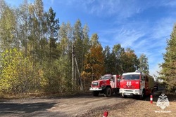 За выходные МЧС ликвидировало на Тамбовщине 20 загораний травы и мусора 