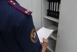 Глава СКР Бастрыкин поручил проверить информацию об изнасиловании тамбовчанки таксистом