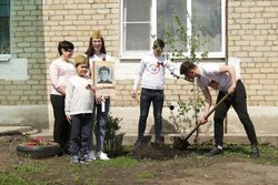 «Сад памяти»: в Тамбовской области высадили 420 молодых деревьев