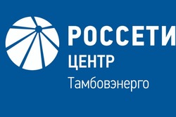 Специалисты «Тамбовэнерго» готовы к работе в условиях непогоды