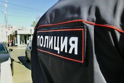 Жителя Токаревского района, угнавшего автомобиль и угрожавшего полицейскому топором, приговорили к 2 годам принудительных работ