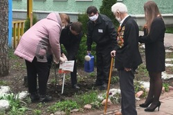 В тамбовском доме ветеранов посадили яблоневый сад к 75-летию Великой Победы