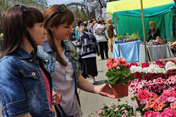 В Тамбове пройдёт традиционный фестиваль цветов