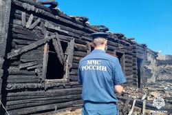 В Перкино в горящем доме погиб пожилой мужчина