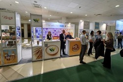 Тамбовские производители представят экспортный потенциал области на «Продэкспо-2026»