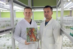 Мичуринские ученые вывели 23 новых сорта ягодных культур