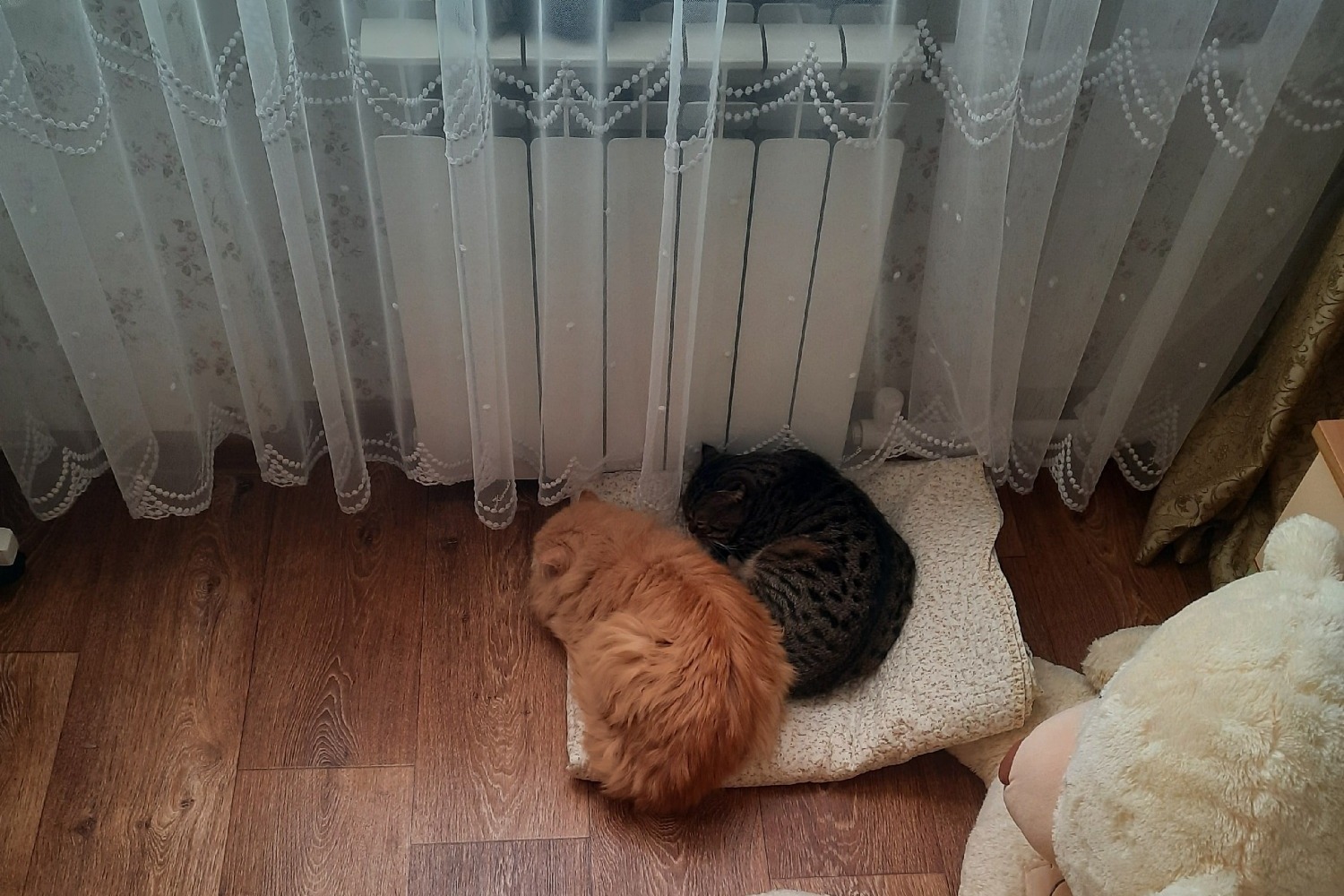 Лукьян и Прохор