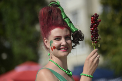 Здесь и принцессы вишневые