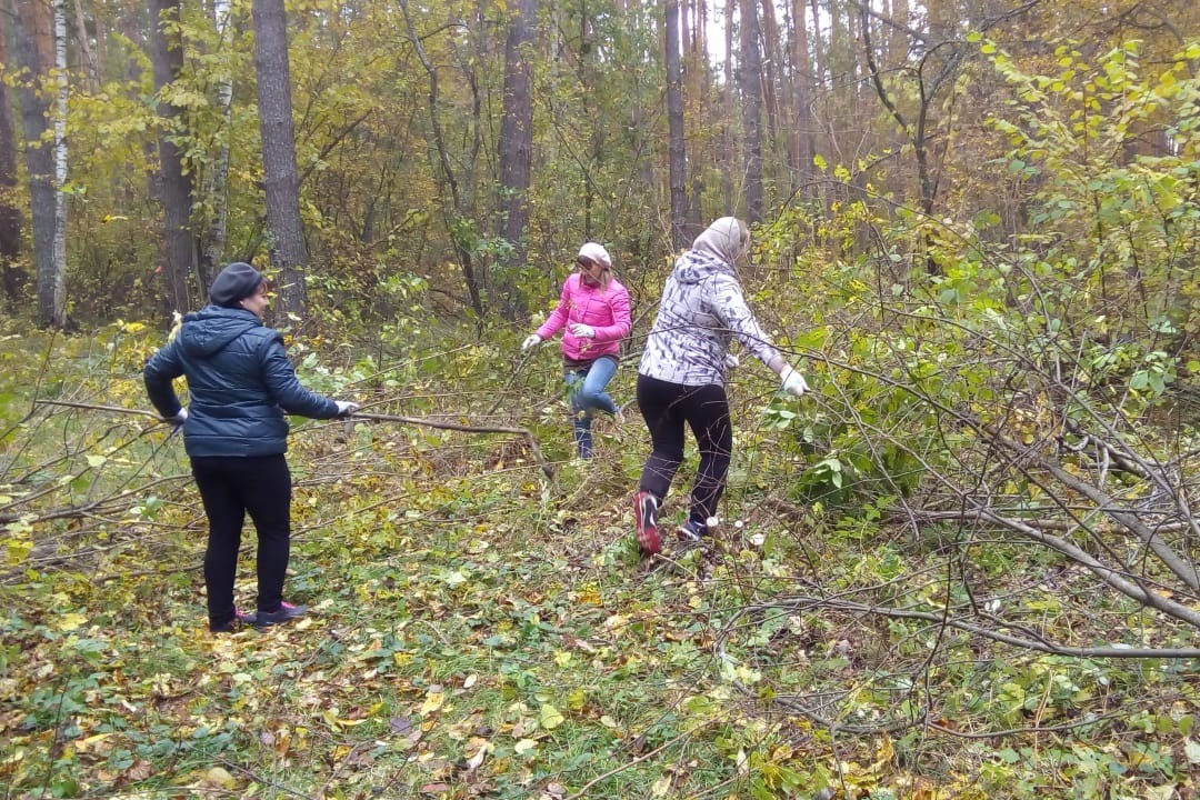 между турбазой и поселком проложена лыжня почтальон