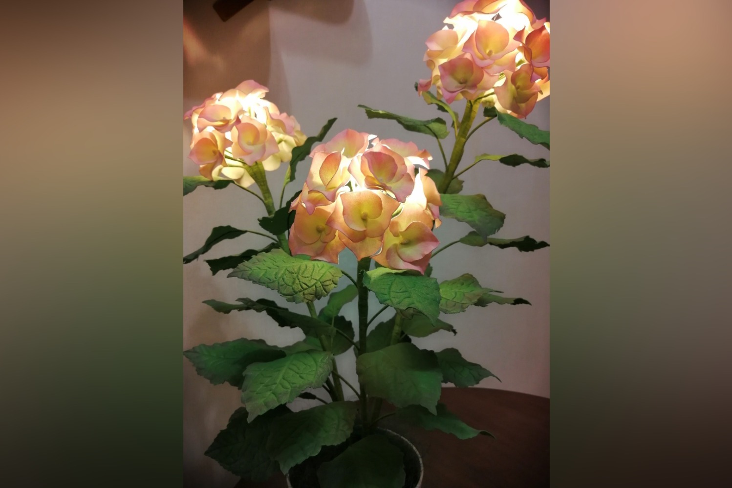Гортензия - высота 60 см, диаметр цветка 11 см