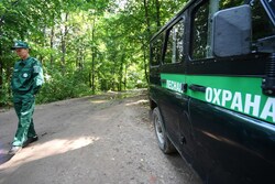 В Тамбовской области усилено патрулирование лесов
