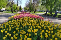 В Тамбовской области 15 апреля стартует голосование за объекты благоустройства