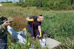 В микрорайоне Майский Тамбова взяли пробы в загрязняемом сточными водами ручье 