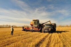 Уборка зерновых подходит к концу в Тамбовской области