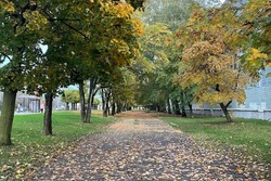 В Тамбове снова дожди и пока без снега