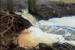 Агрохолдинг ответит за загрязнение реки в Знаменском округе