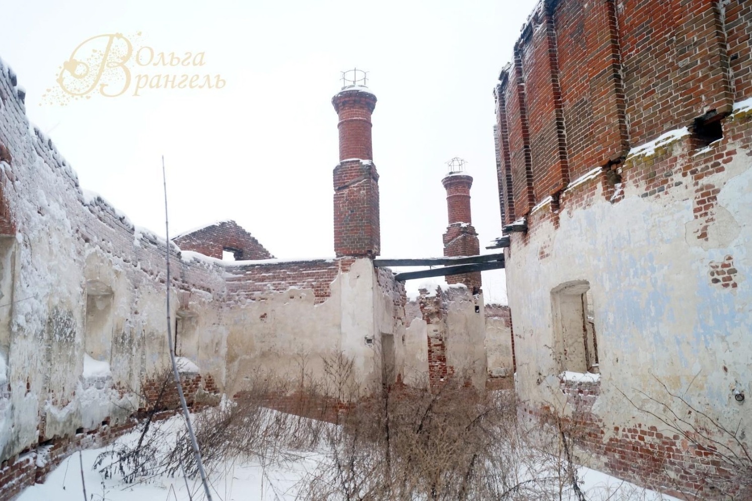 Асеевская конюшня. г. Рассказово. Эстетика руин, 2017 год