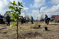 В Рассказове к юбилею Сергея Рахманинова высадили сиреневую аллею