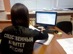 В Тамбовской области директора учреждения культуры осудят за мошенничество