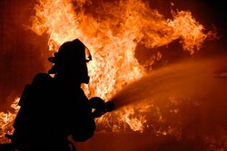 В Тамбовской области при пожаре погиб 29-летний мужчина
