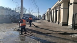 В Тамбове 14 марта стартует генеральная уборка города