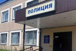 Телефонные мошенники заставили тамбовского подростка украсть с маркетплейса 