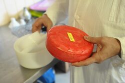 В Тамбове возбуждено уголовное дело по факту поставки в детсад опасного для здоровья сыра