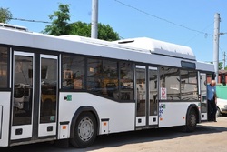 В Тамбове вышли на маршруты 15 автобусов с кондиционерами