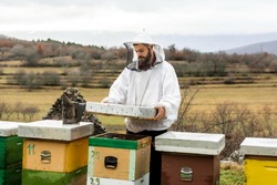 Жердевская прокуратура направила в суд уголовное дело о пчеловодах-мошенниках