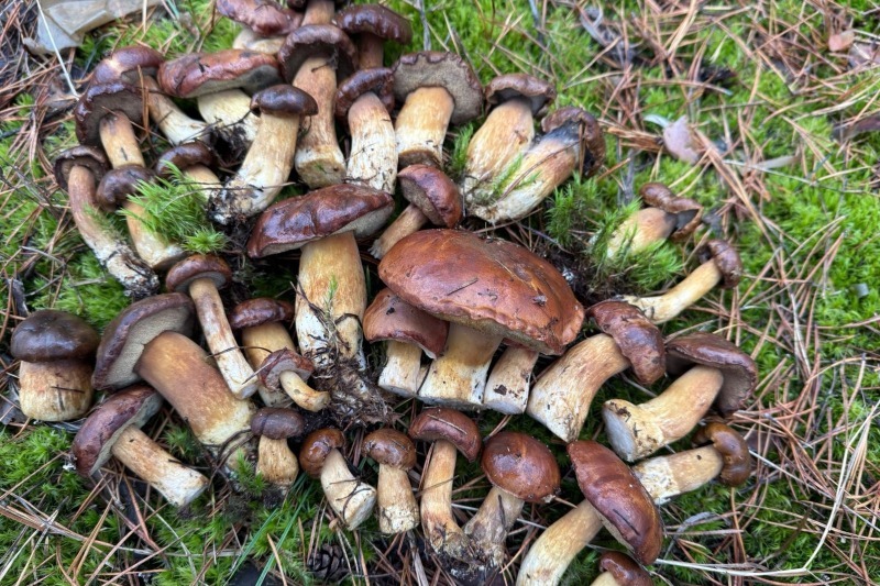 Фото: Галина Лебедева