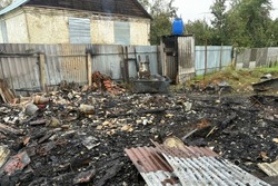 Пожар в Сосновском округе унёс жизнь местного жителя