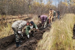 В Тамбовской области на восстановление лесов выделят в 1,5 раза больше средств