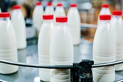 В Тамбовской области растёт производство молока