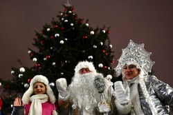 Сыр, валенки и тыквы: в Тамбове открылся парад 30 ёлок с символами муниципалитетов