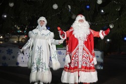 Тамбов встретит Новый год со снегом и легким морозом