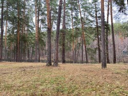 В Тамбовской области в госсобственность вернули землю стоимостью в 10 миллионов 