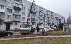 Двор на улице Полынковская в Тамбове станет светлее  