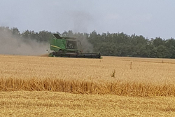В Тамбовской области собрали 2 млн тонн зерна