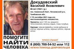 В Тамбовской области плохо слышащий 80-летний пенсионер ушёл в лес и пропал
